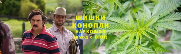 винт Верея