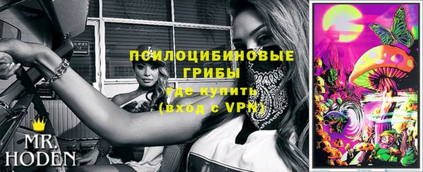 ГАЛЛЮЦИНОГЕННЫЕ ГРИБЫ Верхний Тагил