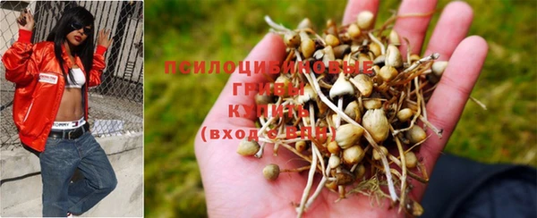 винт Верея