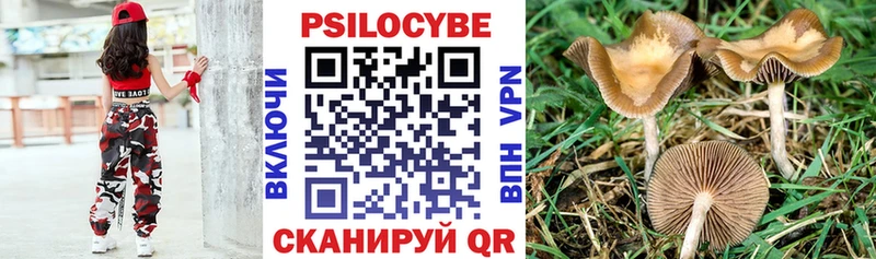 Псилоцибиновые грибы MAGIC MUSHROOMS  купить  сайты  Гаврилов Посад 